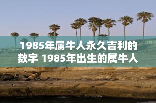 1985年属牛人永久吉利的数字 1985年出生的属牛人哪个数字会永远带来好运