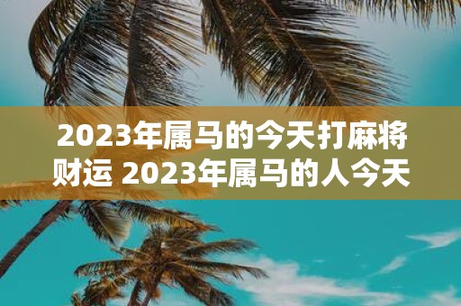 2023年属马的今天打麻将财运 2023年属马的人今天打麻将会有好的财运吗