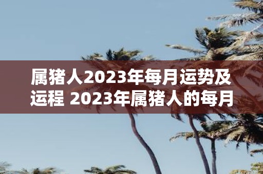 属猪人2023年每月运势及运程 2023年属猪人的每月运势和运程如何