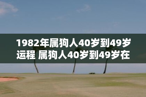 1982年属狗人40岁到49岁运程 属狗人40岁到49岁在1982年的运势如何