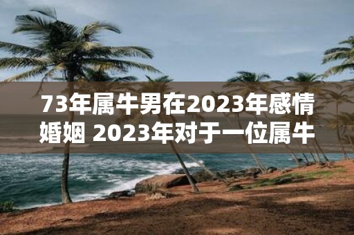 73年属牛男在2023年感情婚姻 2023年对于一位属牛男来说感情与婚姻会有什么变化