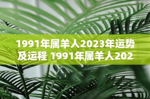 1991年属羊人2023年运势及运程 1991年属羊人2023年运势和运程如何