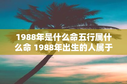 1988年是什么命五行属什么命 1988年出生的人属于哪种五行命