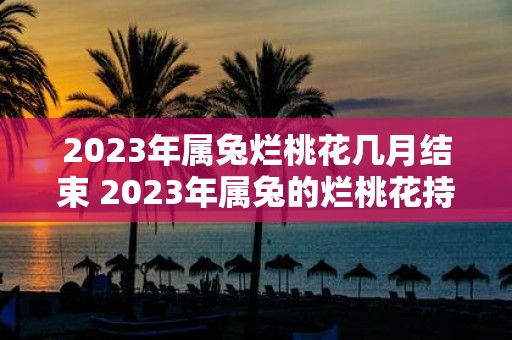 2023年属兔烂桃花几月结束 2023年属兔的烂桃花持续到哪个月