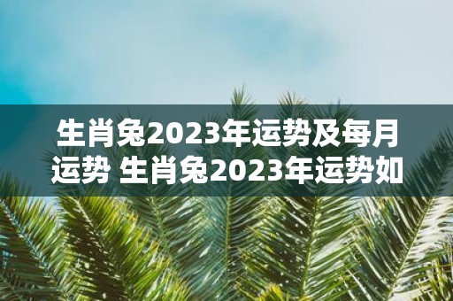 生肖兔2023年运势及每月运势 生肖兔2023年运势如何每个月都有什么运势