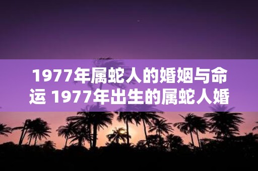 1977年属蛇人的婚姻与命运 1977年出生的属蛇人婚姻和命运如何