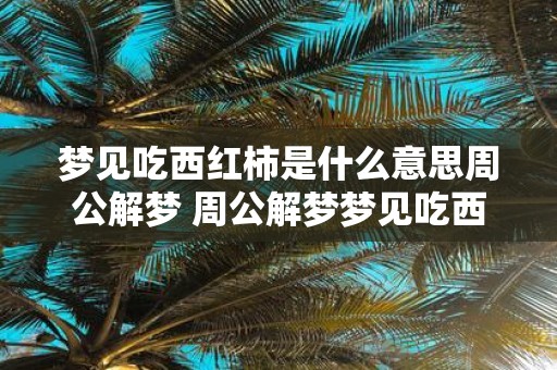 梦见吃西红柿是什么意思周公解梦 周公解梦梦见吃西红柿这代表什么