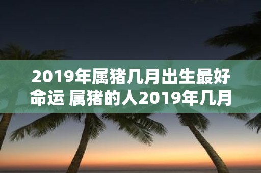 2019年属猪几月出生最好命运 属猪的人2019年几月出生最容易拥有好命运