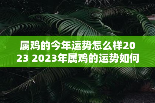 属鸡的今年运势怎么样2023 2023年属鸡的运势如何