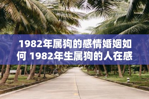 1982年属狗的感情婚姻如何 1982年生属狗的人在感情婚姻方面会遇到哪些问题