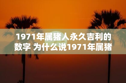 1971年属猪人永久吉利的数字 为什么说1971年属猪人的数字是永久吉利的