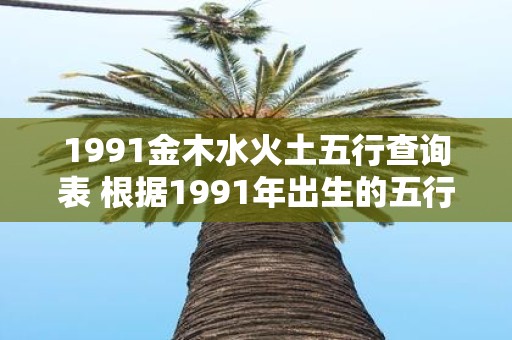 1991金木水火土五行查询表 根据1991年出生的五行查询表我属于哪个五行