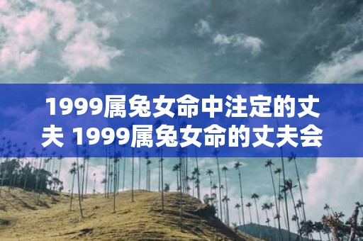 1999属兔女命中注定的丈夫 1999属兔女命的丈夫会是怎样的人