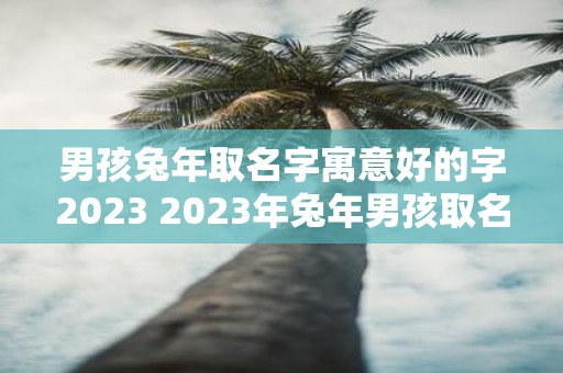 男孩兔年取名字寓意好的字2023 2023年兔年男孩取名应该选什么寓意好的字