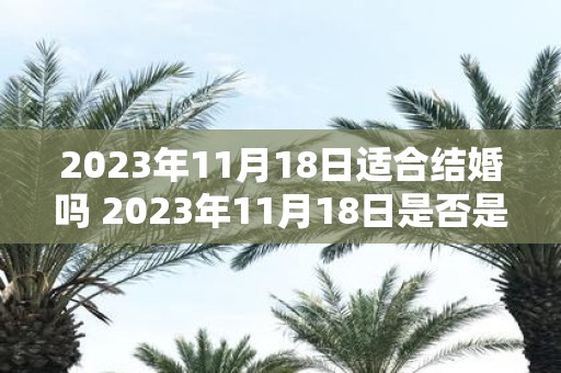 2023年11月18日适合结婚吗 2023年11月18日是否是一个适合结婚的日子呢