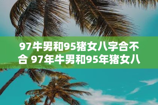 97牛男和95猪女八字合不合 97年牛男和95年猪女八字是否合适这两人的命理特点是否相容