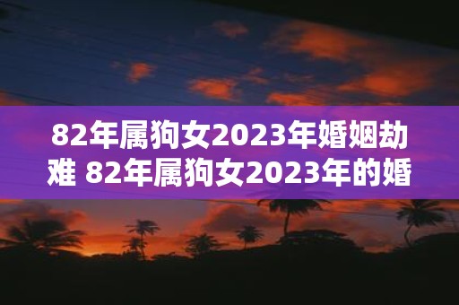 82年属狗女2023年婚姻劫难 82年属狗女2023年的婚姻会遭遇何种困难与挑战