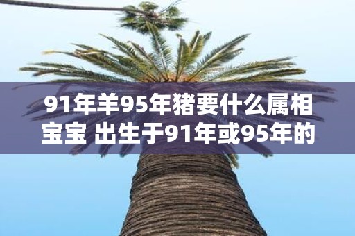 91年羊95年猪要什么属相宝宝 出生于91年或95年的宝宝应该属于哪个属相