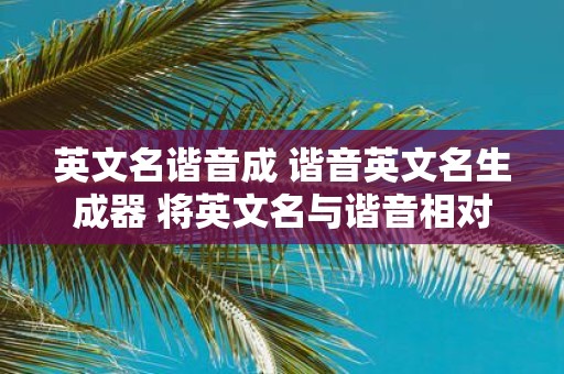 英文名谐音成 谐音英文名生成器 将英文名与谐音相对应生成谐音英文名的生成器是什么