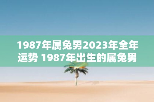 1987年属兔男2023年全年运势 1987年出生的属兔男士2023年全年的运势如何