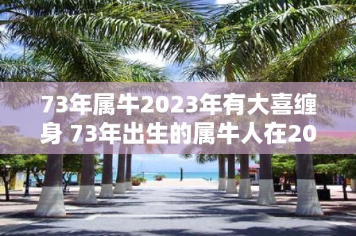 73年属牛2023年有大喜缠身 73年出生的属牛人在2023年是否会有大喜事发生