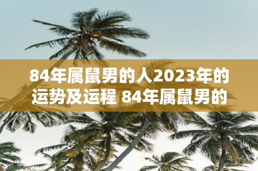 84年属鼠男的人2023年的运势及运程 84年属鼠男的人2023年运势及运程如何