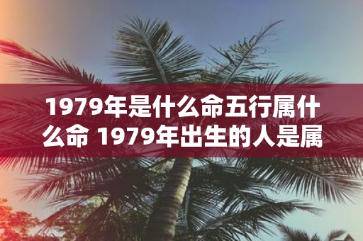 1979年是什么命五行属什么命 1979年出生的人是属于什么命五行属于哪种命