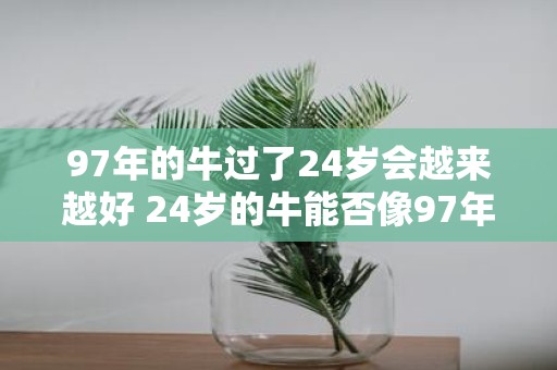 97年的牛过了24岁会越来越好 24岁的牛能否像97年的牛一样越来越好