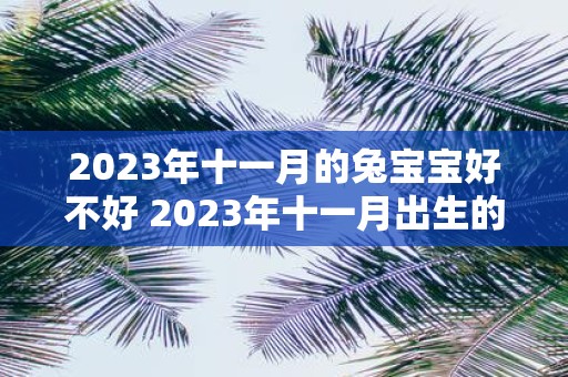 2023年十一月的兔宝宝好不好 2023年十一月出生的兔宝宝怎么样