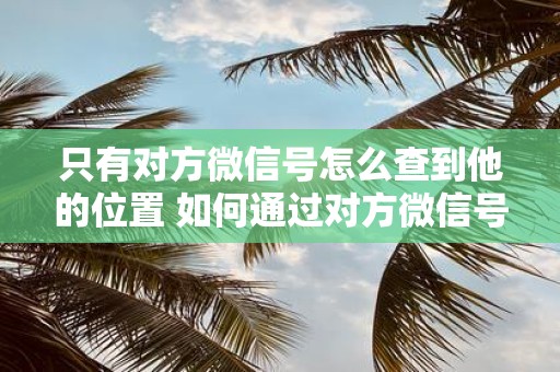 只有对方微信号怎么查到他的位置 如何通过对方微信号查找他的位置