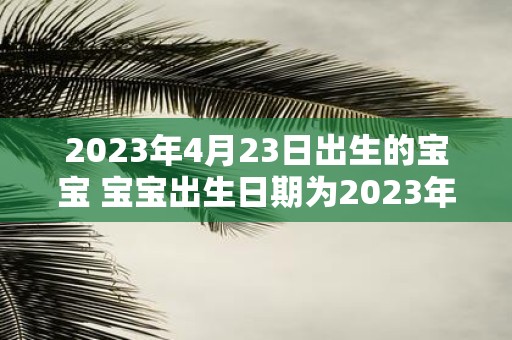 2023年4月23日出生的宝宝 宝宝出生日期为2023年4月23日