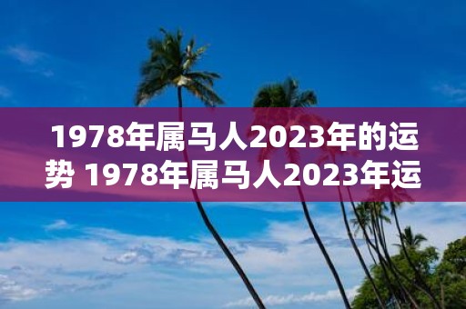 1978年属马人2023年的运势 1978年属马人2023年运势如何