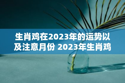 生肖鸡在2023年的运势以及注意月份 2023年生肖鸡运势如何有哪些需要注意的月份