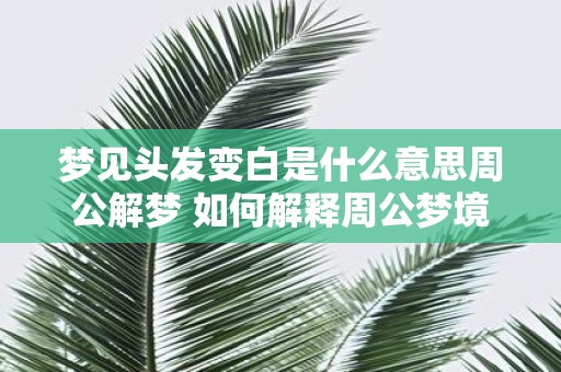 梦见头发变白是什么意思周公解梦 如何解释周公梦境解释中的梦见头发变白是什么意思