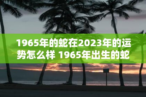 1965年的蛇在2023年的运势怎么样 1965年出生的蛇在2023年的运势如何