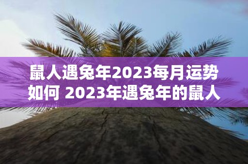 鼠人遇兔年2023每月运势如何 2023年遇兔年的鼠人每个月的运势如何