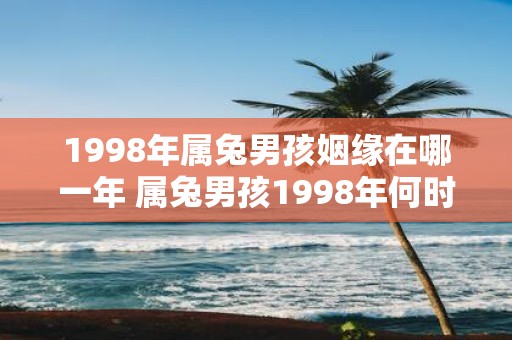 1998年属兔男孩姻缘在哪一年 属兔男孩1998年何时会得到姻缘