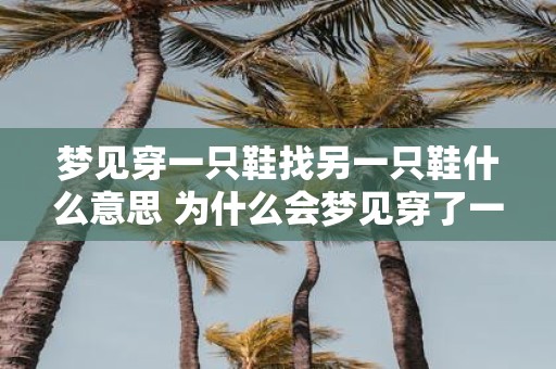 梦见穿一只鞋找另一只鞋什么意思 为什么会梦见穿了一只鞋后寻找另一只鞋