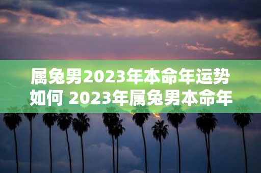 属兔男2023年本命年运势如何 2023年属兔男本命年运势会如何呢