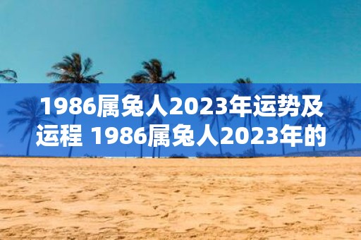 1986属兔人2023年运势及运程 1986属兔人2023年的运势和运程如何