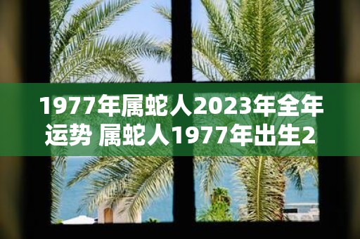 1977年属蛇人2023年全年运势 属蛇人1977年出生2023年运势如何