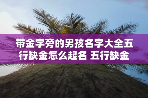 带金字旁的男孩名字大全五行缺金怎么起名 五行缺金男孩名字带金字旁该如何起名