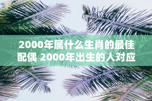 2000年属什么生肖的最佳配偶 2000年出生的人对应的生肖最适合选择哪些生肖为配偶