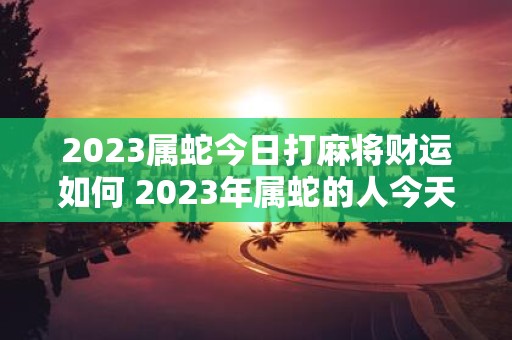 2023属蛇今日打麻将财运如何 2023年属蛇的人今天打麻将会有怎样的财运表现