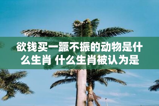 欲钱买一蹶不振的动物是什么生肖 什么生肖被认为是买一蹶不振的动物