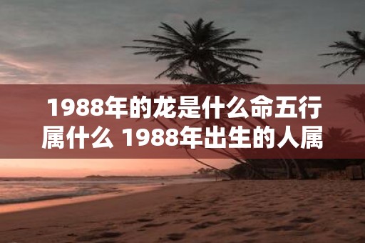 1988年的龙是什么命五行属什么 1988年出生的人属于哪个生肖五行归属如何