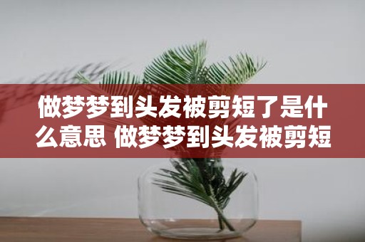 做梦梦到头发被剪短了是什么意思 做梦梦到头发被剪短了这代表着什么意思呢