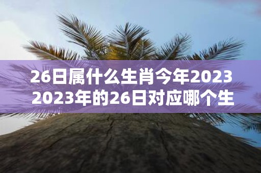 26日属什么生肖今年2023 2023年的26日对应哪个生肖呢