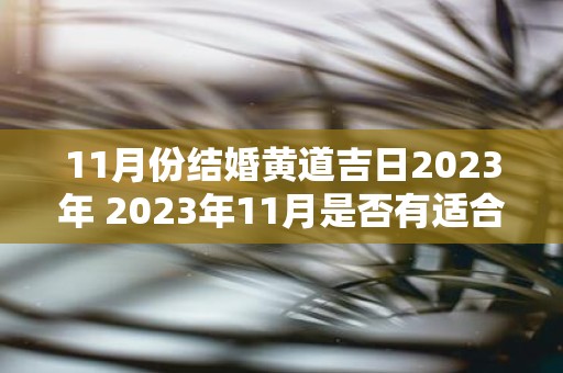 11月份结婚黄道吉日2023年 2023年11月是否有适合结婚的黄道吉日