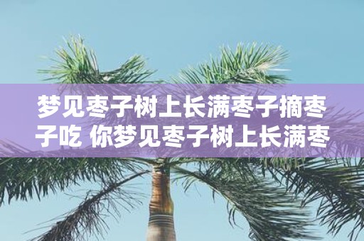 梦见枣子树上长满枣子摘枣子吃 你梦见枣子树上长满枣子摘下来吃了吗